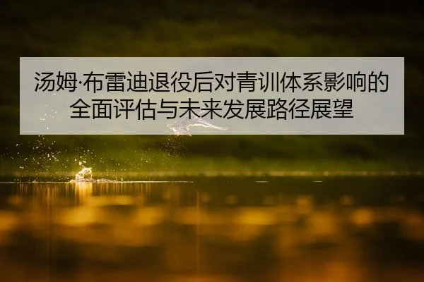 汤姆·布雷迪退役后对青训体系影响的全面评估与未来发展路径展望